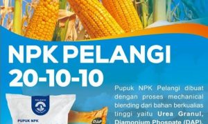 NPK Pelangi 20-10-10