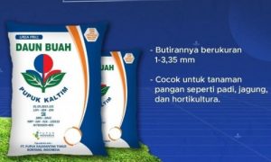 Pupuk Urea Prill Ex. Kaltim