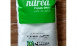 Nitrea Pupuk Urea Ex. kujang