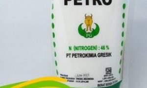 Pupuk Urea Ex. Petrokimia