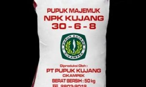 Pupuk NPK Ex. Kujang